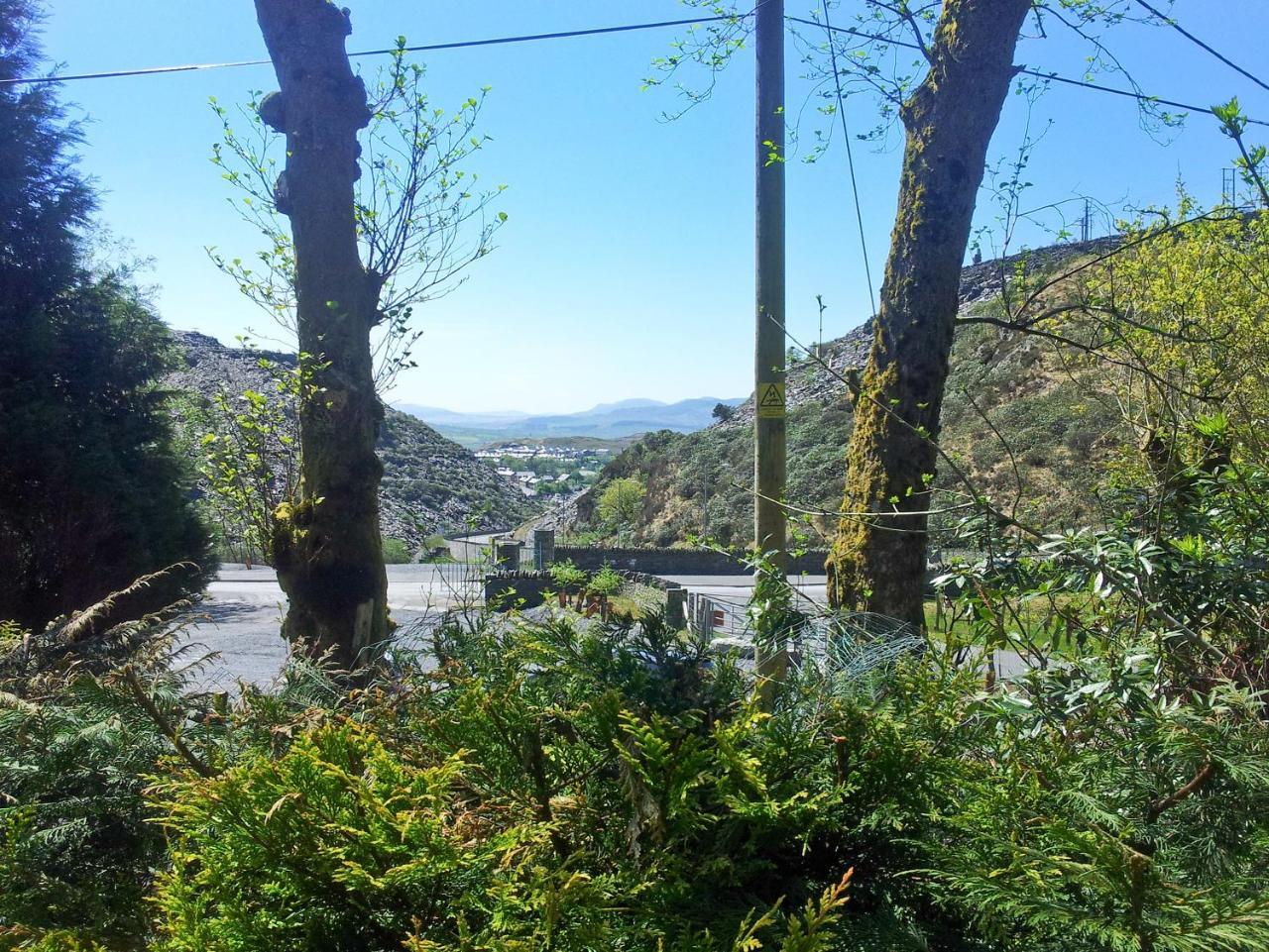 Stiniog Lodge 布莱奈费斯蒂尼奥格 外观 照片